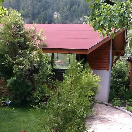 Гостевой дом Diva Reka *