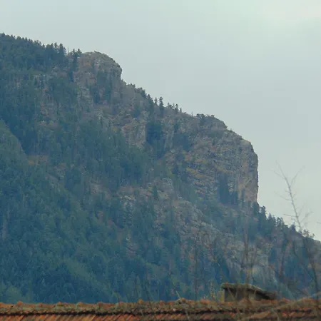 Diva Reka Бели-Искыр