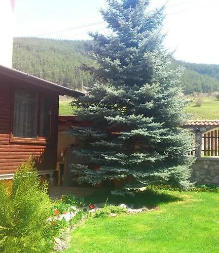 Diva Reka Gasthuis *